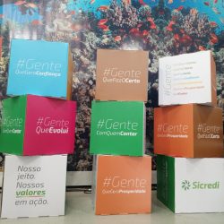 cubos1